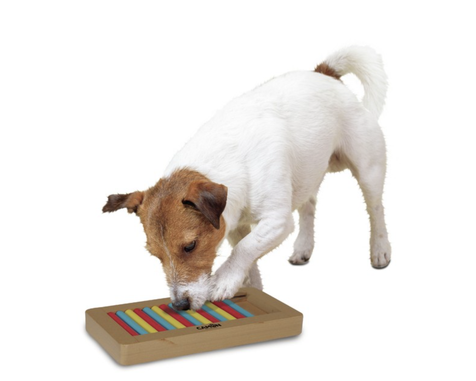 Spielzeug „Genius“ mit Rollen für Hunde